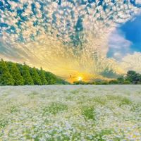 မူရင်းအသံ - 👉.တ နေ့ တော့.👈