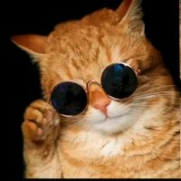 bossbbos.cat