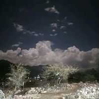 meincharrabeapril271984