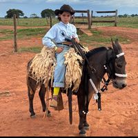 pedro.augusto364