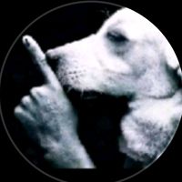 เสียงต้นฉบับ - MechanicPathumwan91