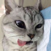hiiheraa__