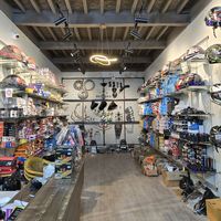 the_great_modification