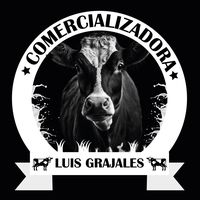 comercializadora.lg79