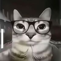 original sound