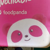 malikfoodpandarider
