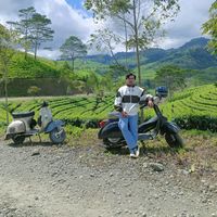 suara asli - cmmbcloth