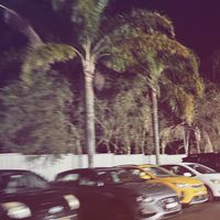 graxe__0