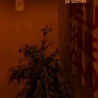 original sound - diamondlive11