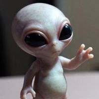 オリジナル楽曲 - 🎧🎶