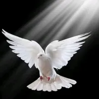 original sound - diinho721