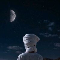 wadellobid