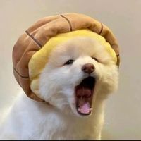 nhạc nền - ALing 🎐