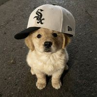 original sound - 🌸