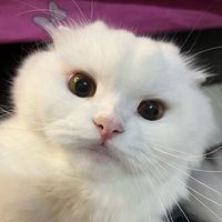 mollyy0612_