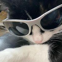 original sound - haelynn.