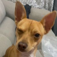 marquitostupatron2