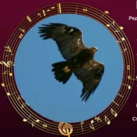 original sound - eagle._911