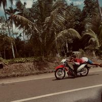 original sound - blaze🚀