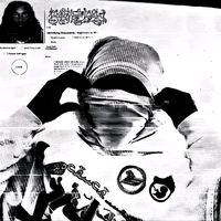 mg7_rlq