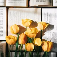 original sound - libro_cafe_y_lluvia