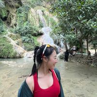 plengsup