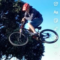yz.lucasn