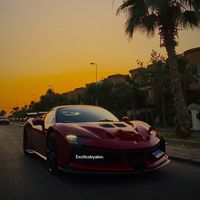 exoticsbyalex