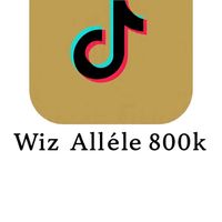 versionwizallele