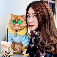 fuuchubbycat