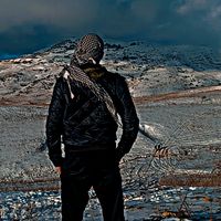 الصوت الأصلي