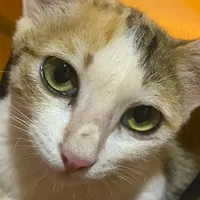 original sound - kaew_ss19