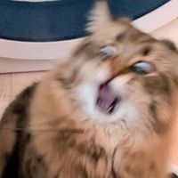 早く帰れよ