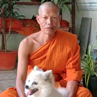 original sound - witt532