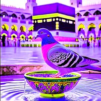 kokohabibjan