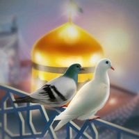 الصوت الأصلي