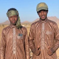 الصوت الأصلي