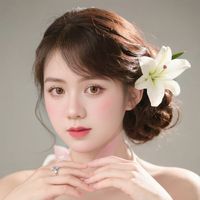 nhạc nền - mèo~