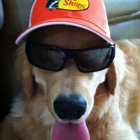 original sound - pssjaa