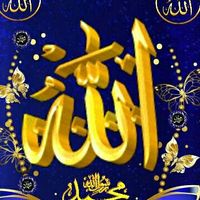 user8437150823421