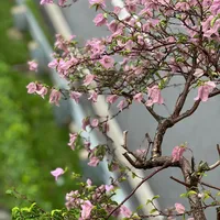 original sound - m.prishanthini