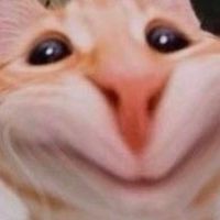 G O O D B O Y