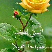 ahmet13ahmet