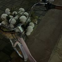 rr_m988