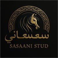 mohamedsasaani
