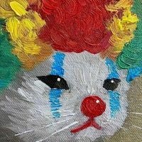 vaskoooooooooooooooooooo