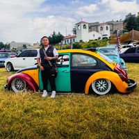 leowisekwi
