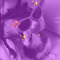 ines2.34