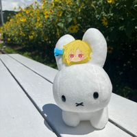 ru.aoto.sasyo