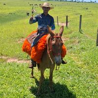 vini_palacio_ofc64